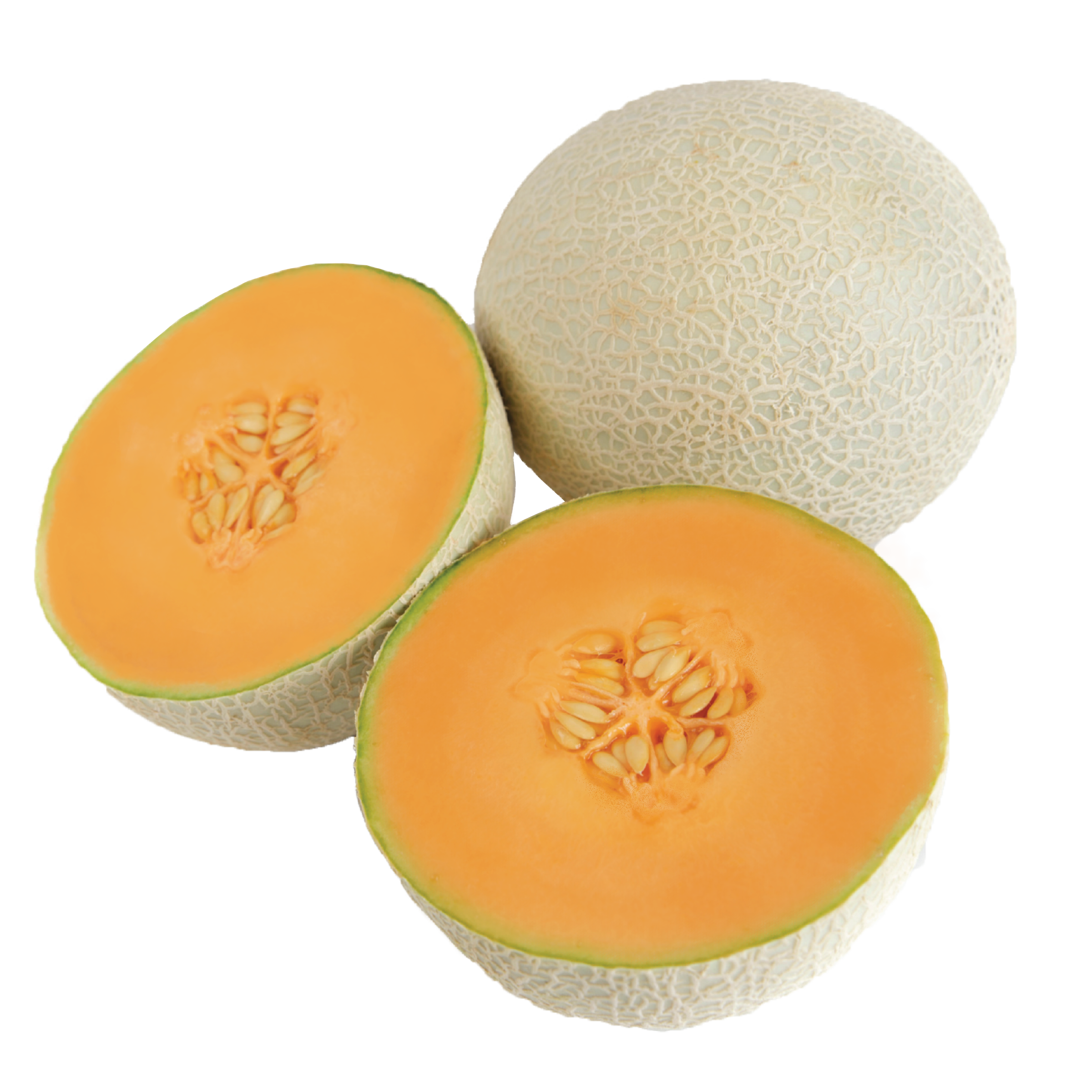 Cantaloupe